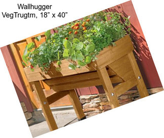 Wallhugger VegTrugtm, 18” x 40”