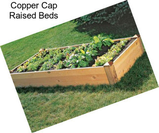Copper Cap Raised Beds