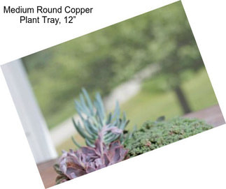 Medium Round Copper Plant Tray, 12”