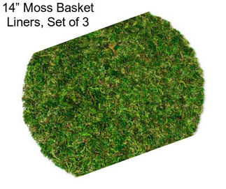 14” Moss Basket Liners, Set of 3