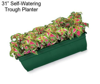 31” Self-Watering Trough Planter