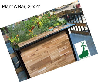 Plant A Bar, 2\' x 4\'