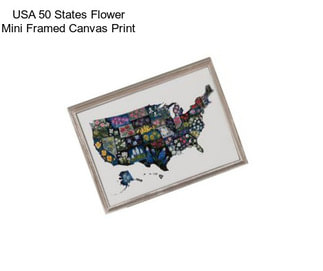 USA 50 States Flower Mini Framed Canvas Print