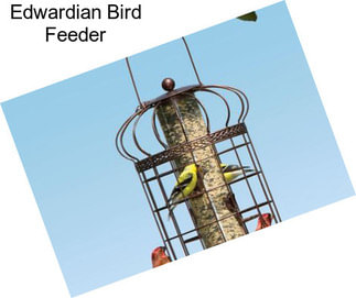 Edwardian Bird Feeder