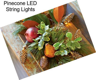 Pinecone LED String Lights