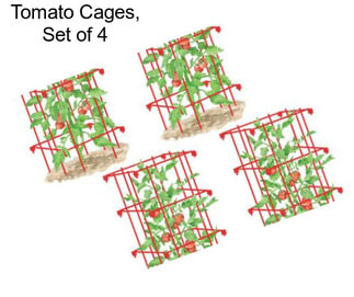 Tomato Cages, Set of 4