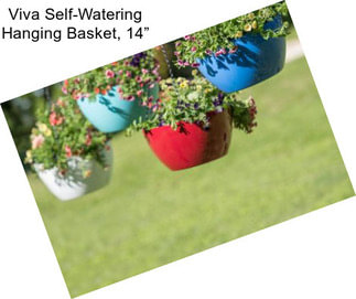 Viva Self-Watering Hanging Basket, 14”