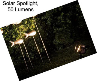 Solar Spotlight, 50 Lumens