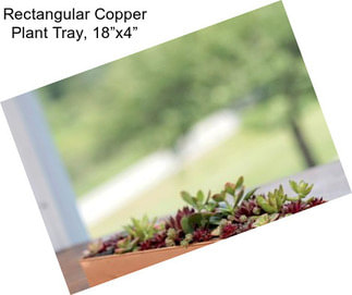 Rectangular Copper Plant Tray, 18”x4”