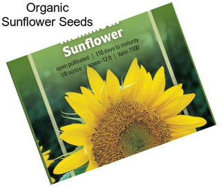 Organic Sunflower Seeds