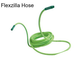 Flexzilla Hose