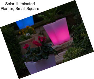 Solar Illuminated Planter, Small Square
