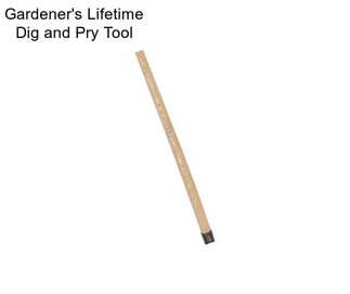 Gardener\'s Lifetime Dig and Pry Tool