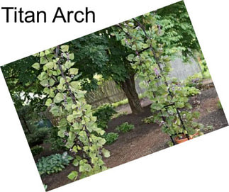 Titan Arch