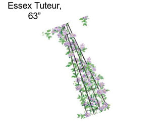 Essex Tuteur, 63”