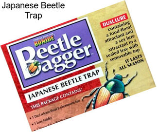 Japanese Beetle Trap