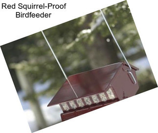 Red Squirrel-Proof Birdfeeder