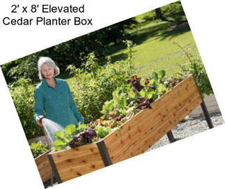 2\' x 8\' Elevated Cedar Planter Box