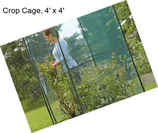 Crop Cage, 4\' x 4\'