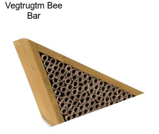 Vegtrugtm Bee Bar