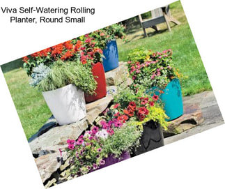 Viva Self-Watering Rolling Planter, Round Small