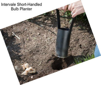 Intervale Short-Handled Bulb Planter