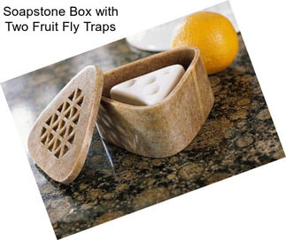Soapstone Box with Two Fruit Fly Traps