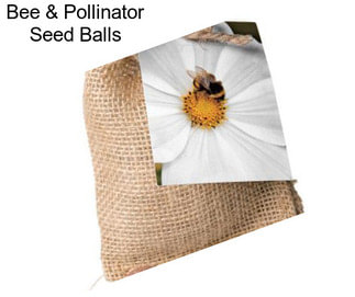 Bee & Pollinator Seed Balls