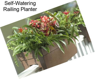 Self-Watering Railing Planter