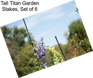 Tall Titan Garden Stakes, Set of 6