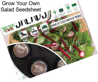 Grow Your Own Salad Seedsheet