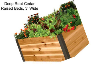 Deep Root Cedar Raised Beds, 3\' Wide