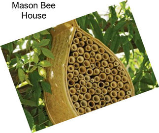 Mason Bee House
