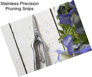 Stainless Precision Pruning Snips