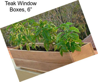 Teak Window Boxes, 6”