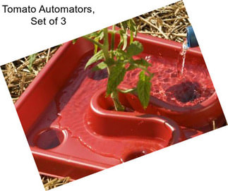 Tomato Automators, Set of 3