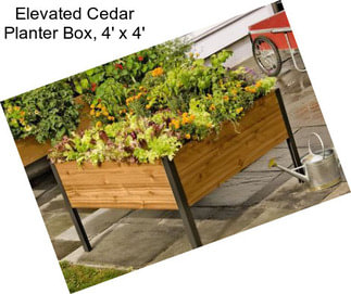 Elevated Cedar Planter Box, 4\' x 4\'