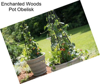 Enchanted Woods Pot Obelisk