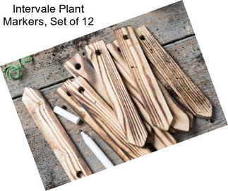 Intervale Plant Markers, Set of 12