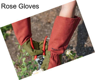 Rose Gloves