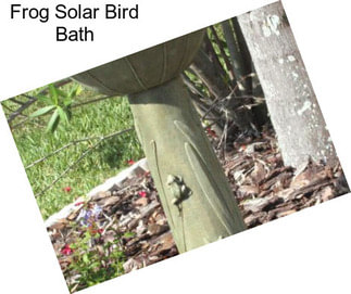 Frog Solar Bird Bath