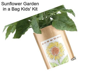 Sunflower Garden in a Bag Kids\' Kit