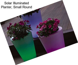 Solar Illuminated Planter, Small Round