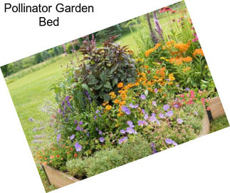 Pollinator Garden Bed