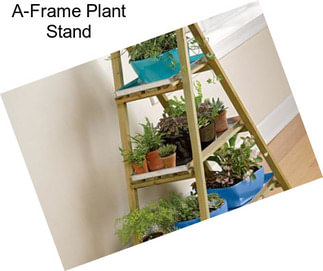 A-Frame Plant Stand