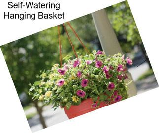 Self-Watering Hanging Basket