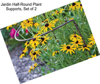 Jardin Half-Round Plant Supports, Set of 2