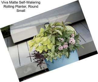 Viva Matte Self-Watering Rolling Planter, Round Small