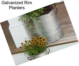 Galvanized Rim Planters