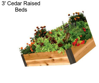 3\' Cedar Raised Beds